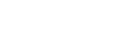 Your SMARTEST and FASTEST online will writer